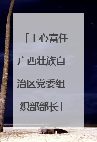 王心富任广西壮族自治区党委组织部部长