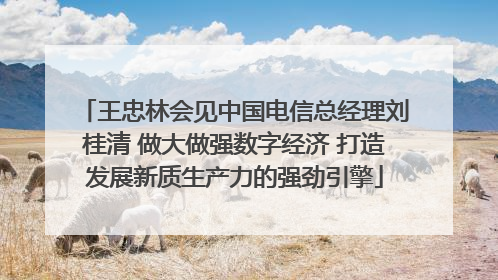 王忠林会见中国电信总经理刘桂清 做大做强数字经济 打造发展新质生产力的强劲引擎