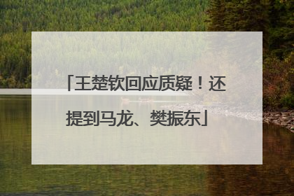 王楚钦回应质疑！还提到马龙、樊振东