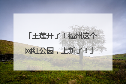 王莲开了！福州这个网红公园，上新了！