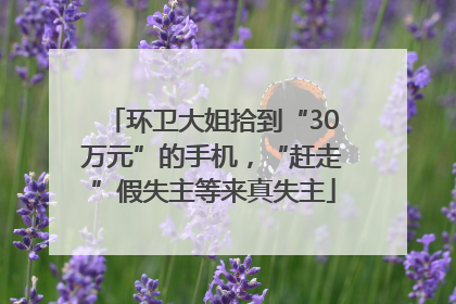 环卫大姐拾到“30万元”的手机，“赶走”假失主等来真失主
