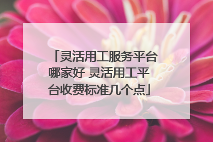 灵活用工服务平台哪家好 灵活用工平台收费标准几个点