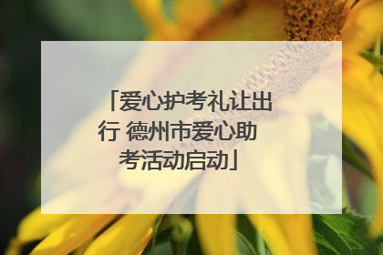 爱心护考礼让出行 德州市爱心助考活动启动