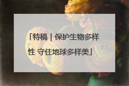 特稿｜保护生物多样性 守住地球多样美