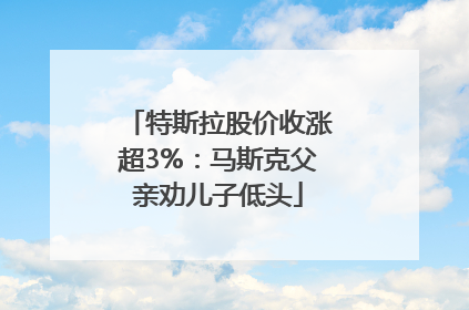 特斯拉股价收涨超3%：马斯克父亲劝儿子低头