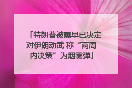 特朗普被曝早已决定对伊朗动武 称“两周内决策”为烟雾弹
