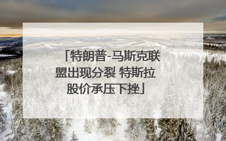 特朗普-马斯克联盟出现分裂 特斯拉股价承压下挫