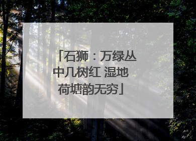 石狮：万绿丛中几树红 湿地荷塘韵无穷