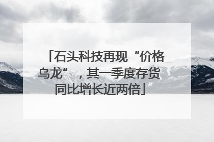 石头科技再现“价格乌龙”，其一季度存货同比增长近两倍