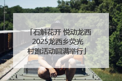 石斛花开 悦动龙西 2025龙西乡荧光村跑活动圆满举行