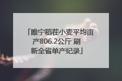睢宁稻茬小麦平均亩产806.2公斤 刷新全省单产纪录