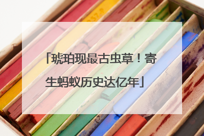 琥珀现最古虫草！寄生蚂蚁历史达亿年