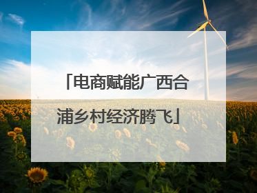 电商赋能广西合浦乡村经济腾飞