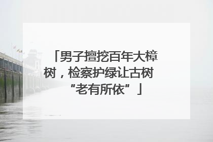 男子擅挖百年大樟树，检察护绿让古树“老有所依”