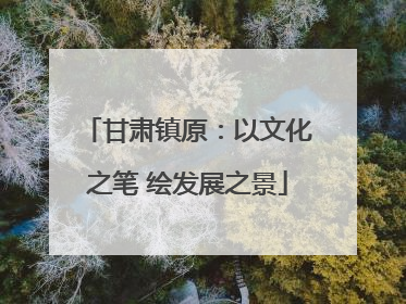 甘肃镇原：以文化之笔 绘发展之景