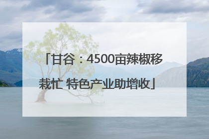 甘谷：4500亩辣椒移栽忙 特色产业助增收