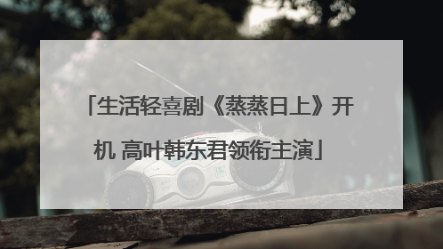 生活轻喜剧《蒸蒸日上》开机 高叶韩东君领衔主演