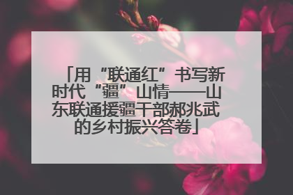 用“联通红”书写新时代“疆”山情——山东联通援疆干部郝兆武的乡村振兴答卷