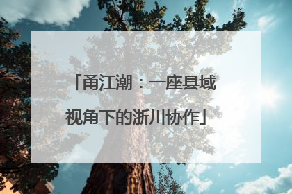 甬江潮：一座县域视角下的浙川协作