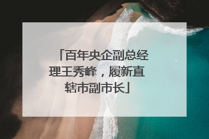百年央企副总经理王秀峰，履新直辖市副市长