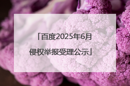 百度2025年6月侵权举报受理公示