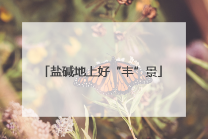 盐碱地上好“丰”景