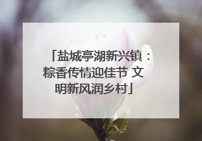 盐城亭湖新兴镇：粽香传情迎佳节 文明新风润乡村