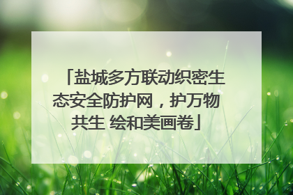 盐城多方联动织密生态安全防护网，护万物共生 绘和美画卷