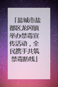 盐城市盐都区龙冈镇举办禁毒宣传活动，全民携手共筑禁毒防线