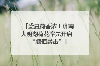 盛夏荷香浓！济南大明湖荷花率先开启“颜值暴击”