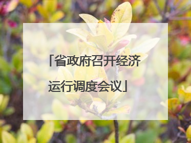 省政府召开经济运行调度会议