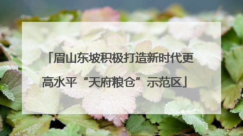 眉山东坡积极打造新时代更高水平“天府粮仓”示范区