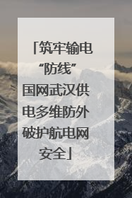 筑牢输电“防线” 国网武汉供电多维防外破护航电网安全