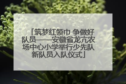 筑梦红领巾 争做好队员——安徽省龙亢农场中心小学举行少先队新队员入队仪式
