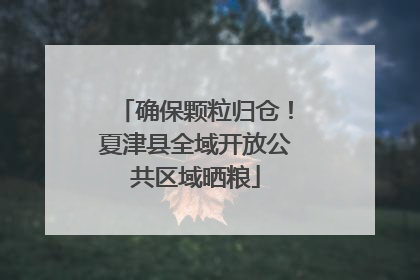 确保颗粒归仓！夏津县全域开放公共区域晒粮