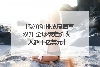 碳价和排放覆盖率双升 全球碳定价收入超千亿美元
