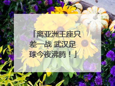 离亚洲王座只差一战 武汉足球今夜沸腾！
