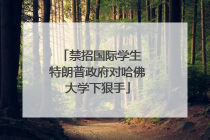 禁招国际学生 特朗普政府对哈佛大学下狠手