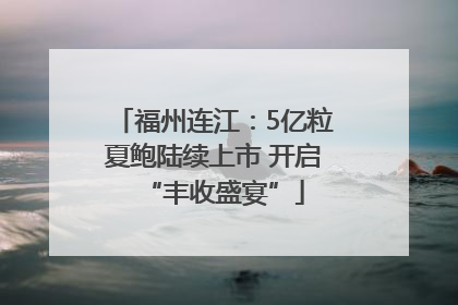 福州连江：5亿粒夏鲍陆续上市 开启“丰收盛宴”