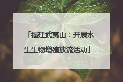 福建武夷山：开展水生生物增殖放流活动