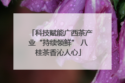 科技赋能广西茶产业“持续领鲜” 八桂茶香沁人心