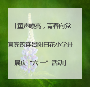 童声嘹亮，青春向党 宜宾筠连景阳白花小学开展庆“六·一”活动