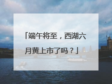 端午将至，西湖六月黄上市了吗？