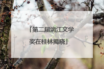第二届漓江文学奖在桂林揭晓