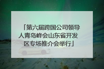 第六届跨国公司领导人青岛峰会山东省开发区专场推介会举行