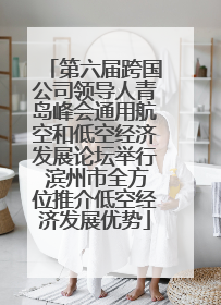 第六届跨国公司领导人青岛峰会通用航空和低空经济发展论坛举行 滨州市全方位推介低空经济发展优势