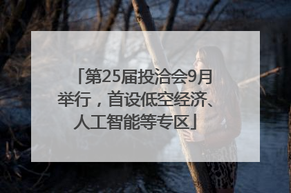 第25届投洽会9月举行，首设低空经济、人工智能等专区