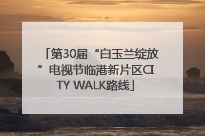 第30届“白玉兰绽放”电视节临港新片区CITY WALK路线