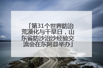 第31个世界防治荒漠化与干旱日，山东省防沙治沙经验交流会在东阿县举办
