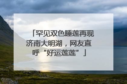 罕见双色睡莲再现济南大明湖，网友直呼“好运莲莲”